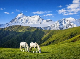 Uttarakhand